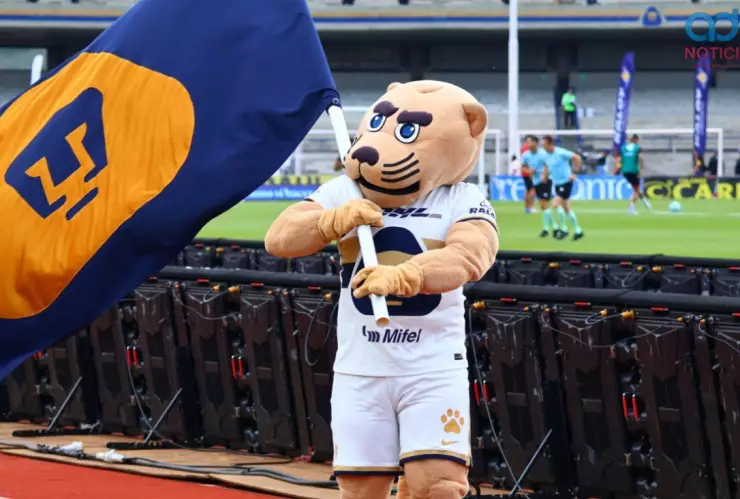 Pumas se queda sin DT para lo que resta del Torneo de Apertura 2025