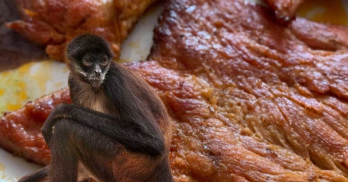 Chango Hamilton Carne de chango en Catemaco: ¿Realidad o leyenda?