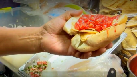 ¿Qué son las guacamayas en León, Guanajuato?