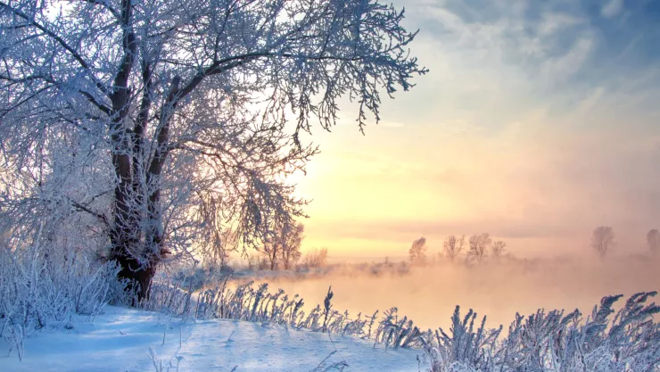 ¿Cómo afectará la Segunda Tormenta Invernal 2025 al clima en Aguascalientes