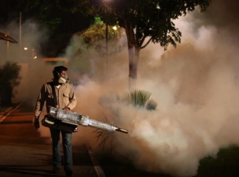 Dengue