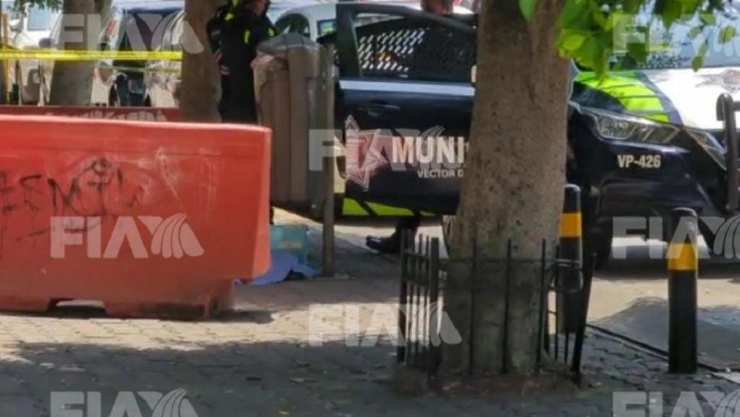 feto colonia amor walmart reforma