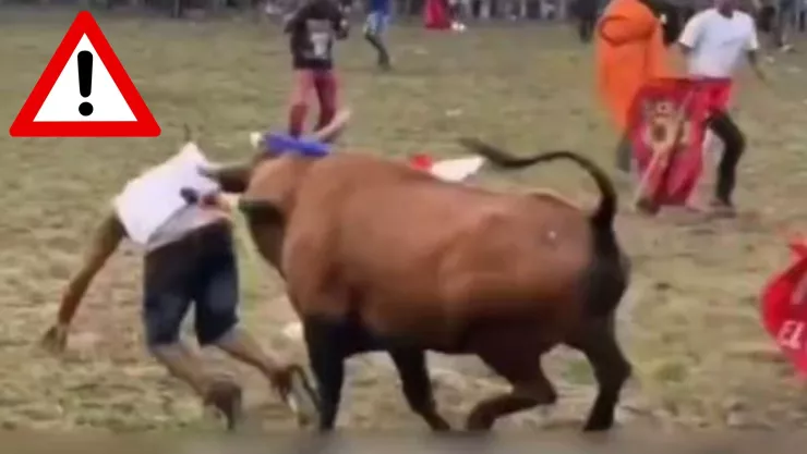 VIDEO VIRAL: Captan el momento exacto en que un hombre perdió la vida durante un espectáculo de toros 