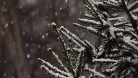 Clima hoy en Yucatán_ ¿Cuáles son los 5 municipios que tendrán heladez por el frente frío 36_ Esto sabemos