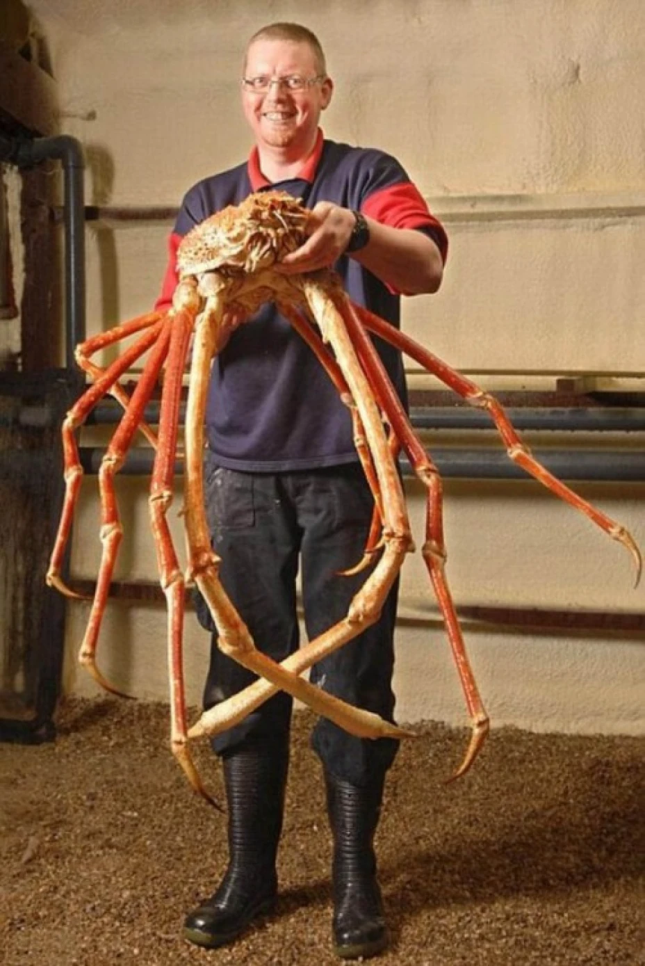 an3.jpg
