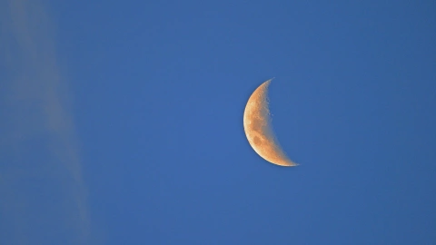 Calendario lunar, enero, 2022 2.jpg