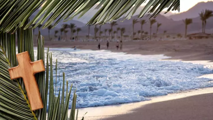 Lugares de Baja California para visitar en Semana Santa 2025