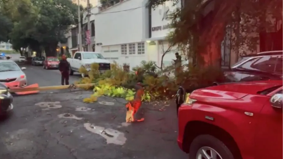 Caída de poste de luz en calles de la Roma