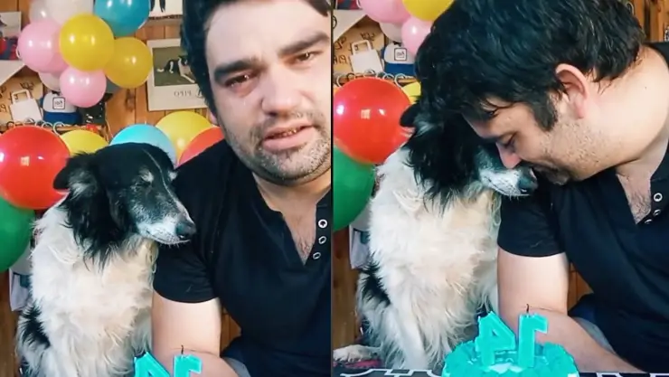 Hombre felicita a su perrito Pipo por cumplir 14 años y el momento conmueve a todos