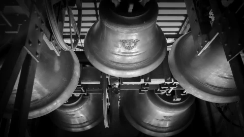 Vaniloquio Cholula 2025