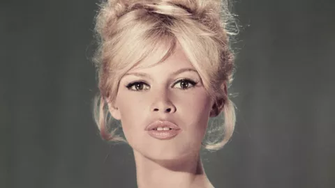 brigitte bardot