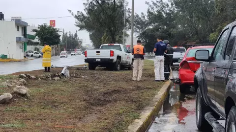 Choque entre vehiculos.