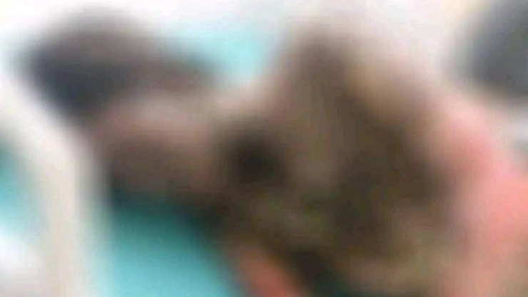 feminicidio guadalupe tonalá chiapas