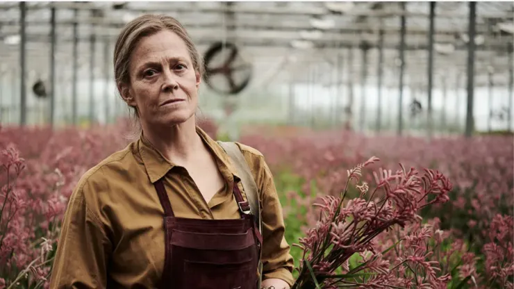 De que trata Las flores pérdidas de Alice Hart.jpg