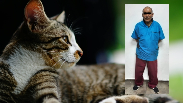 Un hombre dijo ser veterinario en Edomex fue detenido por matar a un gatito.
