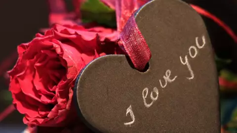 Rosas rojas en el Día de San Valentín.