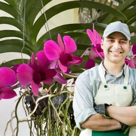 Qué tipo de macetas debes usar en tu orquídea para evitar que se pudran las raíces