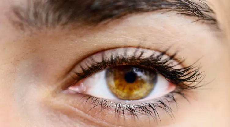 3 recetas de licuados que harán crecer tus pestañas y cejas