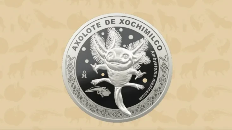 Moneda conmemorativa del ajolote