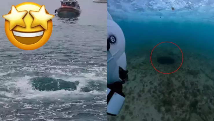¡IMPRESIONANTE! Video submarino de un ‘ojo de agua’ en Cozumel impacta a las redes sociales
