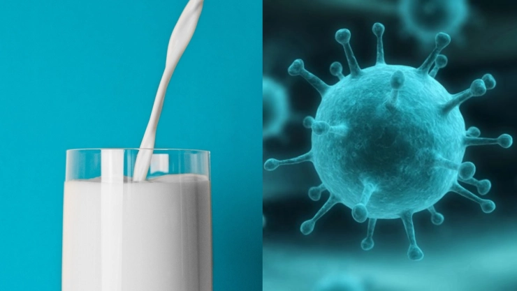 leche con la gripe aviar que tiene en alerta a EU