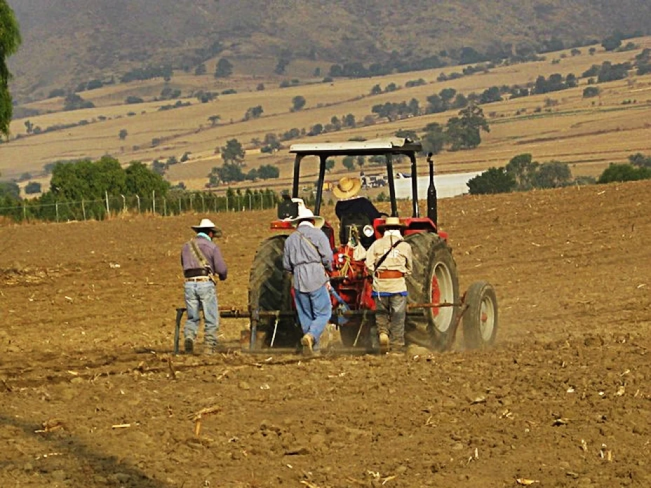 La producción agrícola en México registra un déficit que no ha podido ser revertido