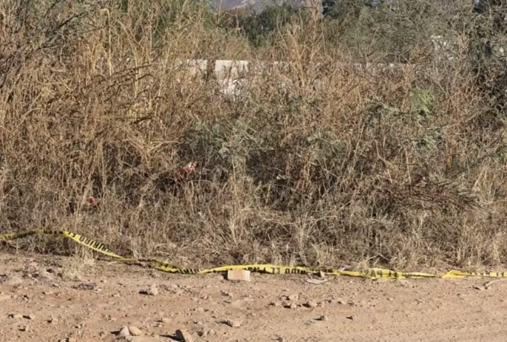 Localizan cuerpo sin vida al norte de la ciudad.