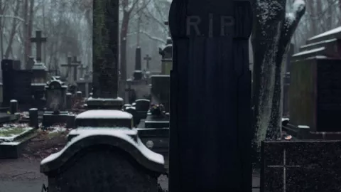 peste negra nuevo estudio 2.jpg