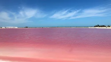  ¿Por qué Las Coloradas son rosas? 