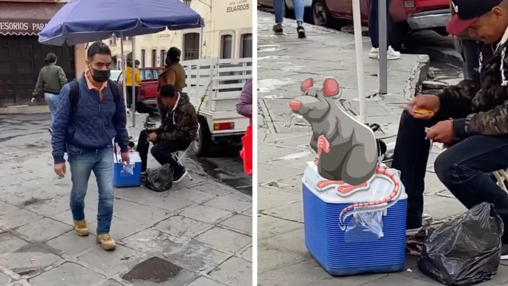 Ratas de campo