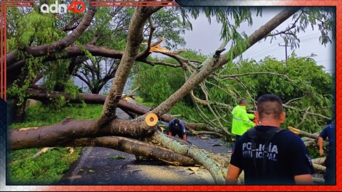 Roslyn se degradó a tormenta tropical