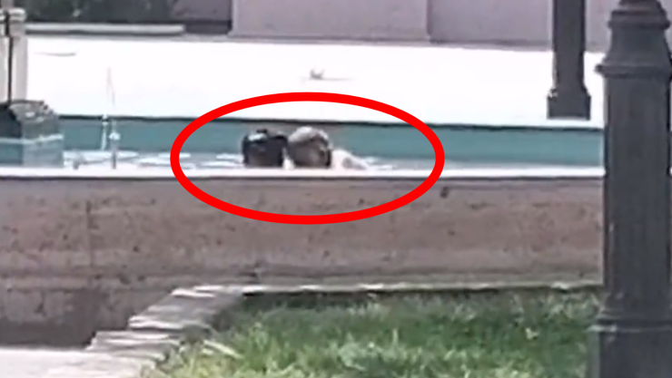 Cachan a pareja en fuente