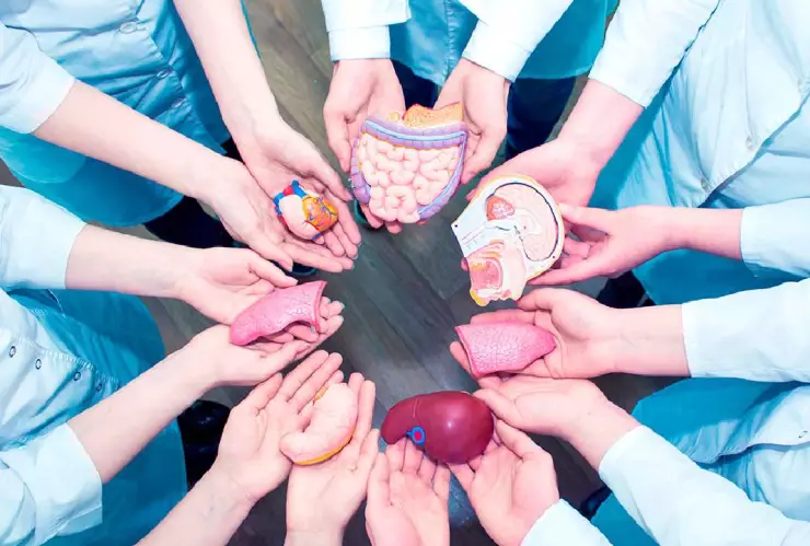 Donación de órganos