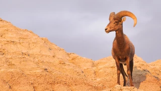 Fotografía Christopher_Boswell.jpg