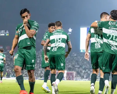 20 años Orlegi