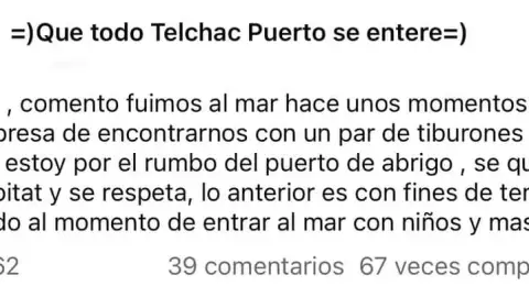comentario redes tuburon.