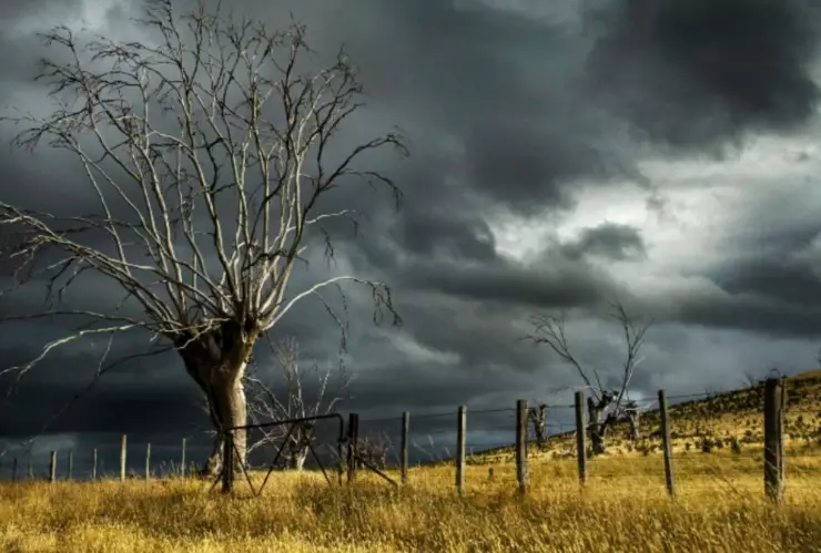 Clima en Guanajuato hoy