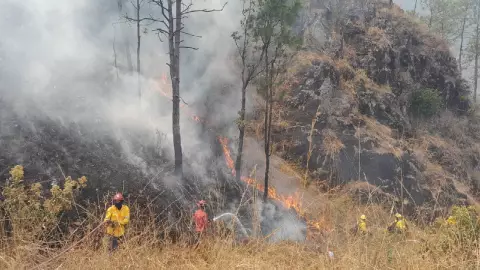 Incendio en la Autopista del Sol