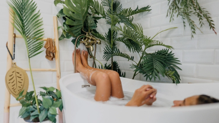 plantas baño