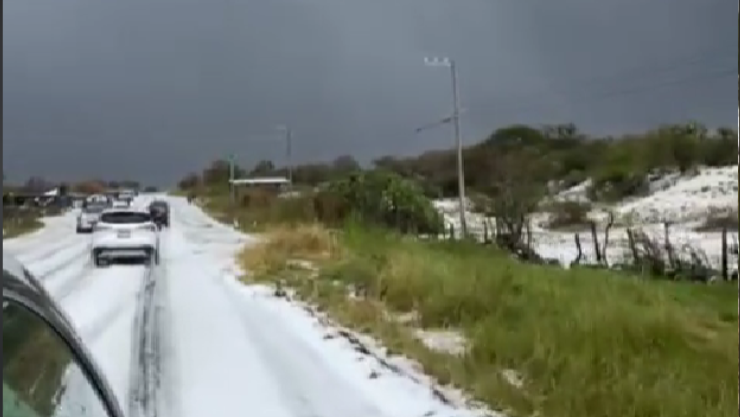 ¿Jalisco tendrá una blanca Navidad? Estas son las zonas donde caería nieve