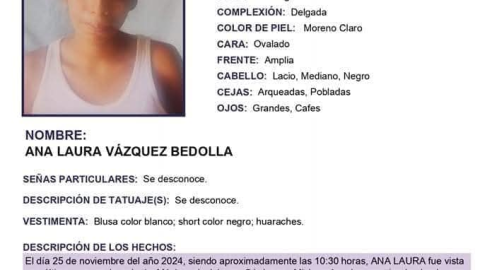 ficha de búsqueda Ana Laura Vázquez bebé en Michoacán