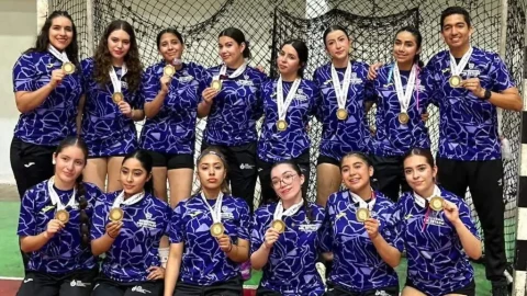 chihuahua handball.jpg