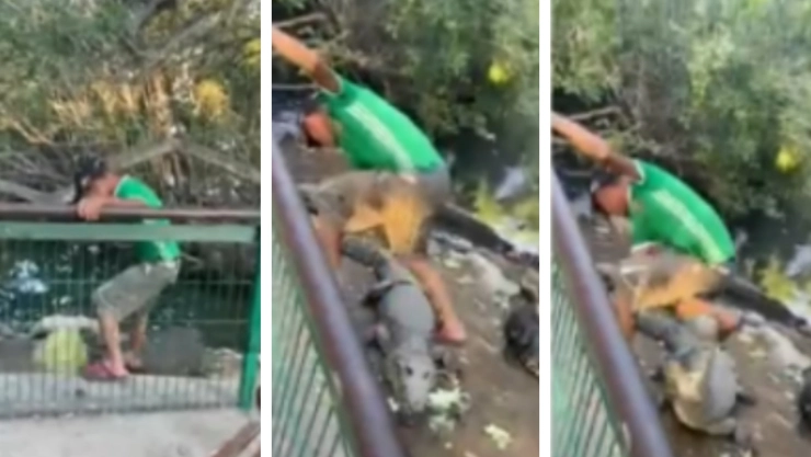 cocodrilo hombre ebrio Tampico