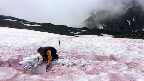 nieve sangre fenomeno