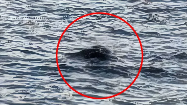  Reportan supuesto avistamiento del monstruo del Lago Ness