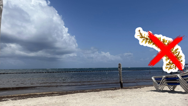Conoce las playas libres de sargazo en Tulum, Carrillo Puerto, Bacalar y Chetumal HOY 7 de septiembre de 2025.jpg
