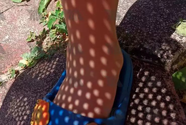 ECLIPSE SOLAR 2024: La falta de lentes no paró a los mexicanos ¡Sacan el ingenio!