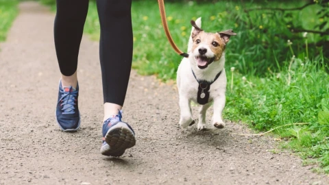Caminar o correr, beneficios de caminar