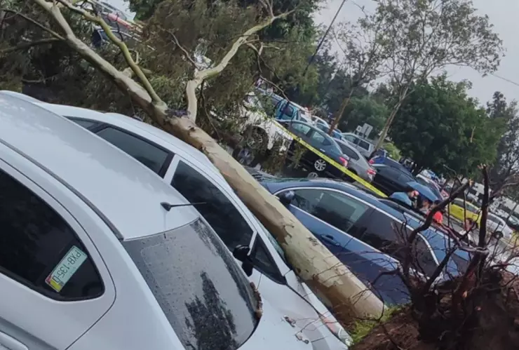 FES_Aragón_Edomex_mexico_2024