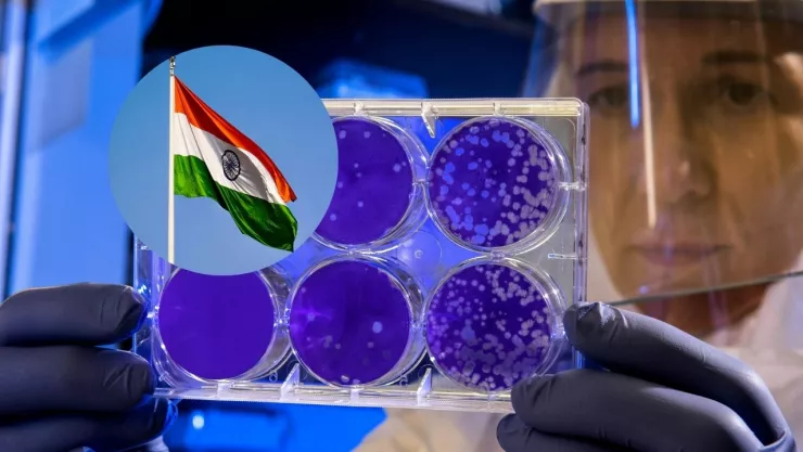 chandipura-virus-india-que-es